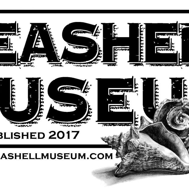 seashell-museum-2018-620x620 Whenever it rains... Rocky Point Weekend Rundown!