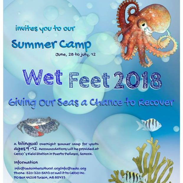 cedo-wet-feet-camp-2018-620x620 ¡Campamentos de verano 2018 en Puerto Peñasco!