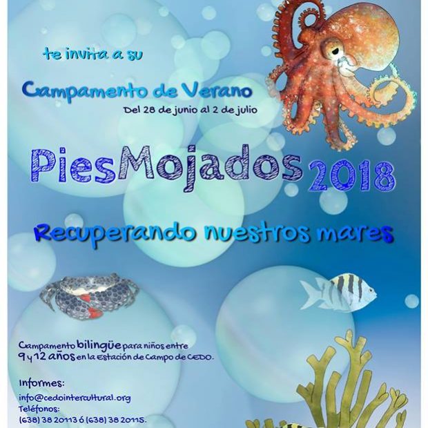 Pies-Mojados-620x620 ¡Campamentos de verano 2018 en Puerto Peñasco!