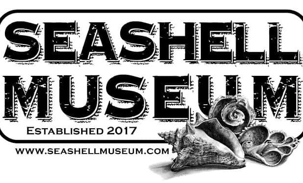 seashell-museum-2019-620x374 Fins up! Rocky Point Weekend Rundown!
