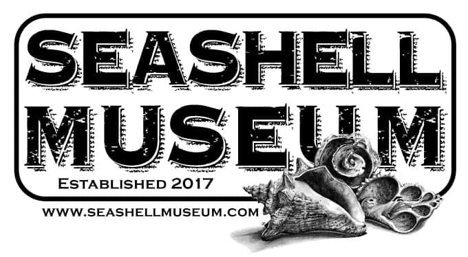 seashell-museum-2019 A whale of a time! Rocky Point Rundown!