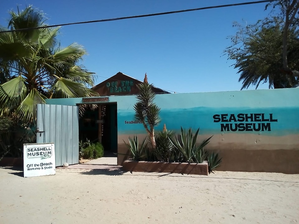seashell-museum Color the town! Rocky Point Weekend Rundown!