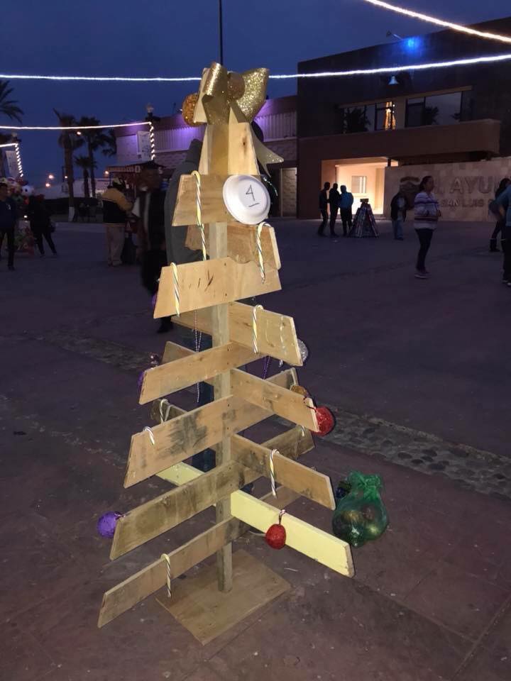 1 2019 Contest for Christmas Trees made from recycled materials