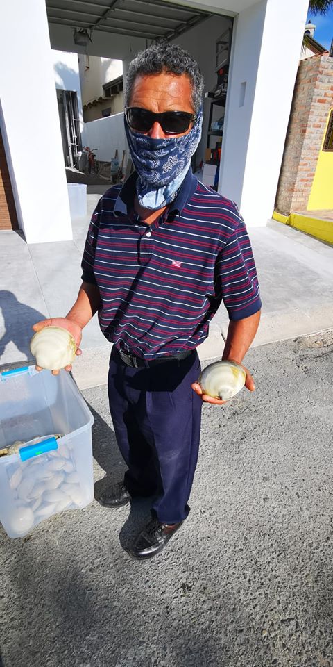 ernesto-clams Local fishermen and the economic impact of Covid-19