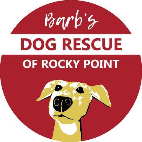 barbs-dog-rescue Giving Thanks 2020. Rocky Point Weekend Rundown
