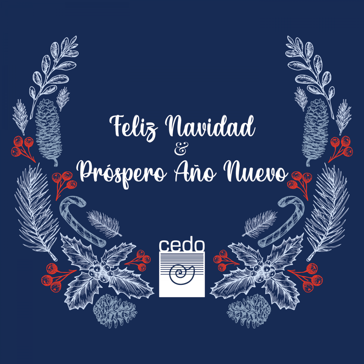 cedo-navidad-ano-nuevo-21-1200x1200 CEDO looks to exciting opportunities in 2021