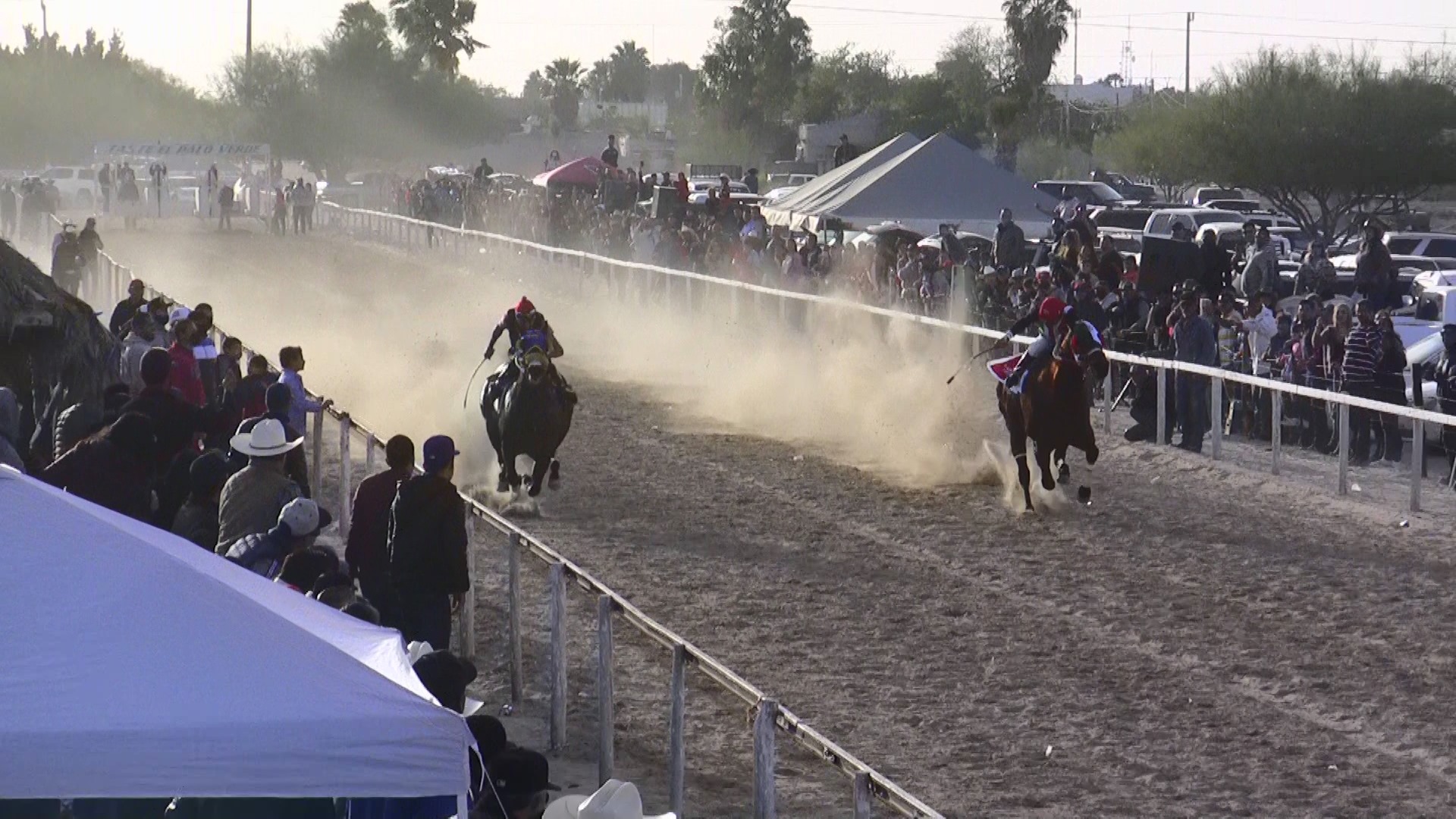 Carreras de Caballos / Horse Racing Taste El Palo Verde @ Taste El Palo Verde