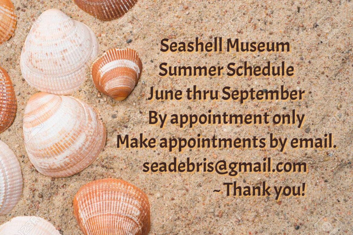 seashell-summer-appt-only-1200x800 Seashell Museum - Summer 2021