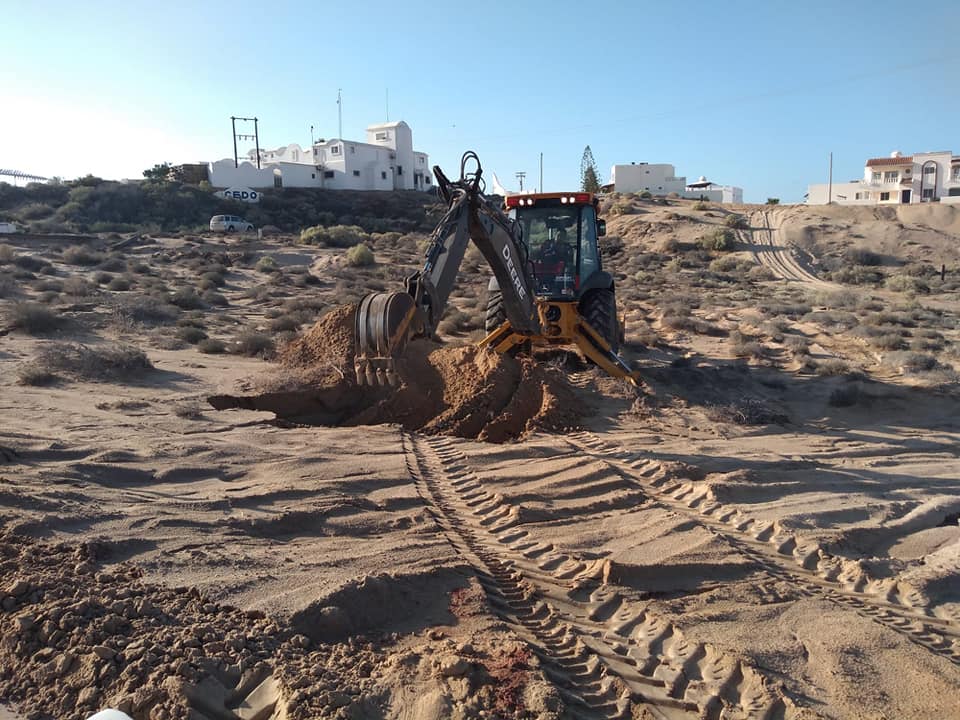 sept-ballenota-3 Whale calf carcass removed from Sandy Beach