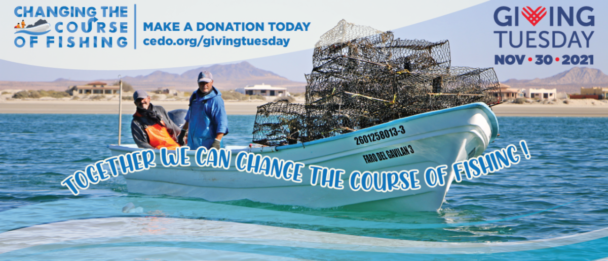 cedo-giving-tuesday #GivingTuesday CEDO: Change the Course of Fishing