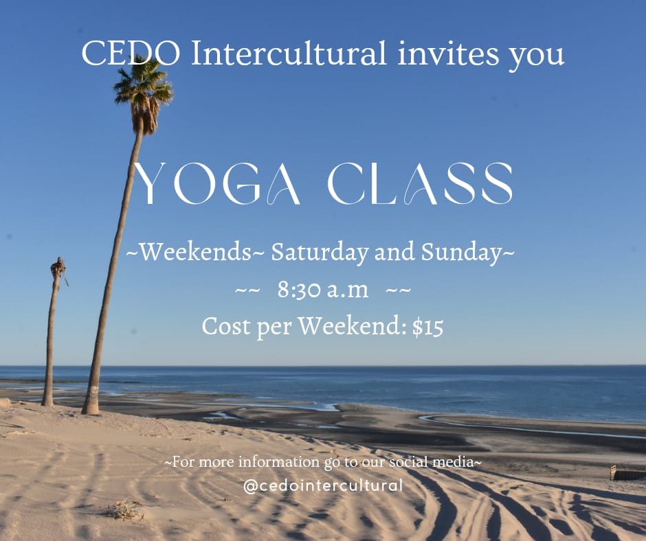 CEDO Presents: Yoga Classes @ CEDO