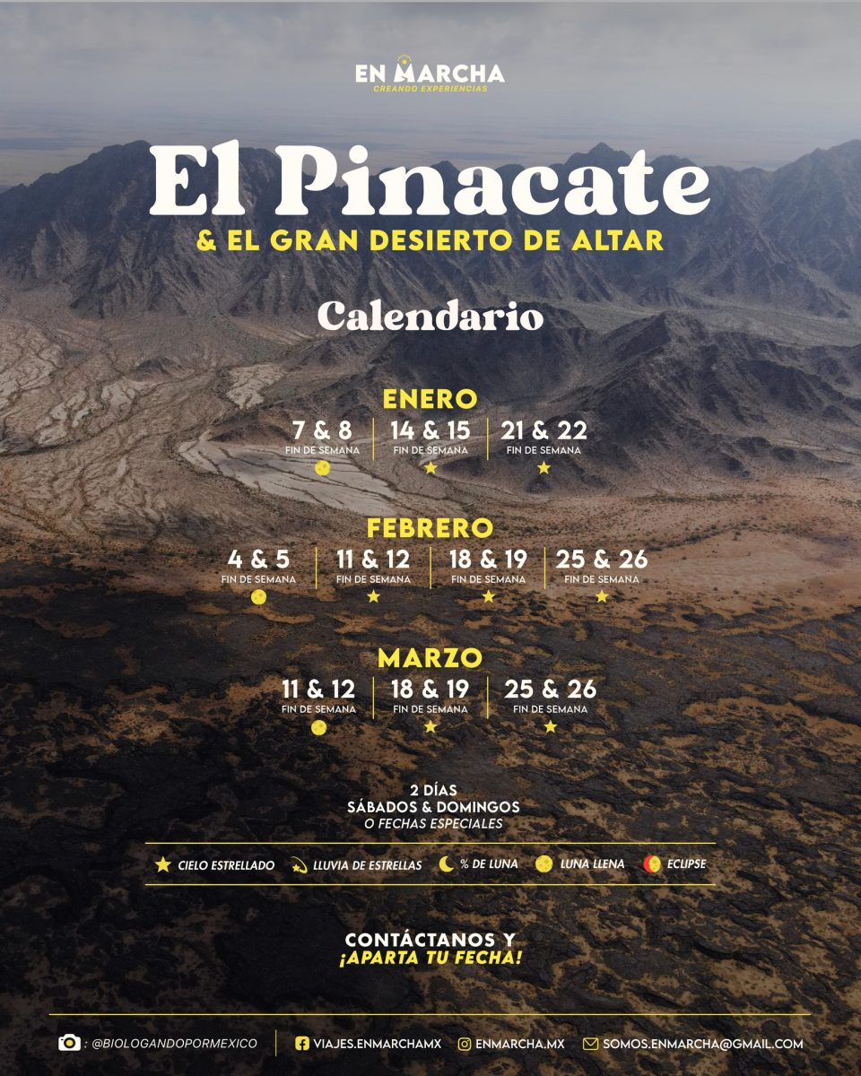 pinacate-marcha-excursions-960x1200 Pinacate Experience *En Marcha Mx